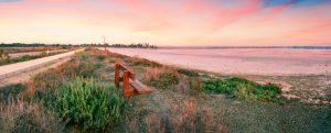 Bench on shore of salt lake of Aliki with Hala Sultan Tekke mosque in background